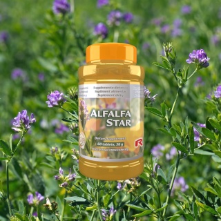 ALFALFA STAR, Lucerna, fabryka witamin ADEK, 60 kapsułek Starlife