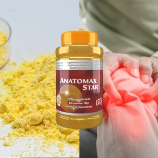 ANATOMAX STAR, MSM, witamina C + koci pazur, 60 kapsułek Starlife