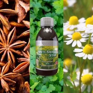 ANTI - SWELL STAR, Anyż, kolendra, rumianek na dobre trawienie, 120ml Starlife