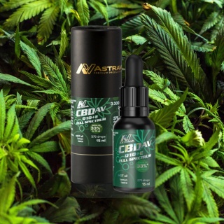 CBD 33% Q10+E, 15ml Starlife