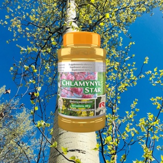 CHLAMYNYL STAR, chlamydia, 60 kapsułek