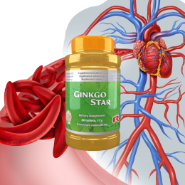 GINKGO STAR, zdrowe krążenie, 60 kapsułek