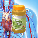 GOTU KOLA, hemoroidy i zdrowe krążenie, 60 kapsułek