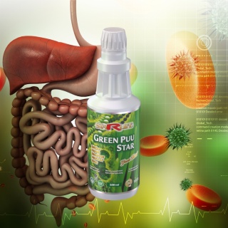 GREEN PUU STAR, układ pokarmowy, 500ml