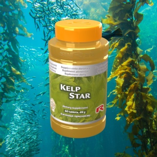 KELP STAR, źródło jodu, 60 kapsułek