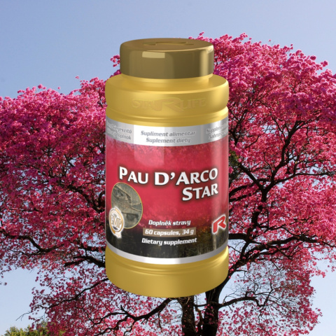 PAU D`ARCO STAR, przeciwzapalny, 60 kapsułek PAU D`ARCO STAR, przeciwzapalny, 60 kapsułek