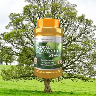 ROYAL WALNUT STAR, działanie antybakteryjne, 60 kapsułek