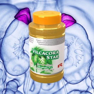 VILCACORA STAR, mechanizmy obronne organizmu, 60 kapsułek