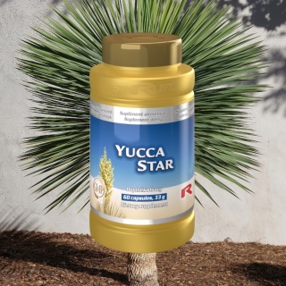 YUCCA STAR, oczyszczanie organizmu, 60 kapsułek Starlife