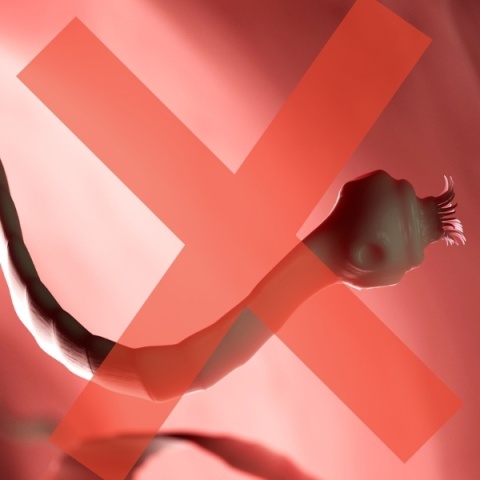 ANTI-PARASITE STAR, odrobaczanie, odgrzybianie i usuwanie toksyn, 60 kapsułek Starlife