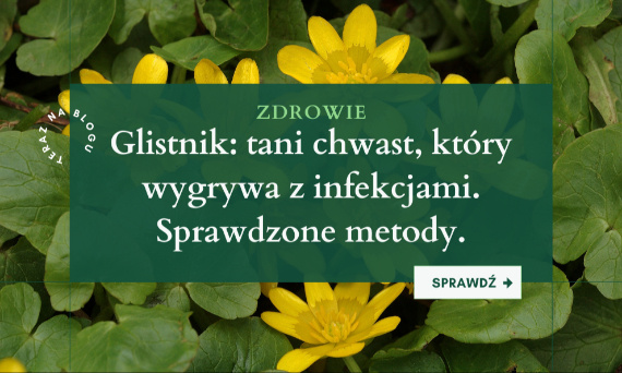 Glistnik jaskółcze ziele - właściwości i czy warto?