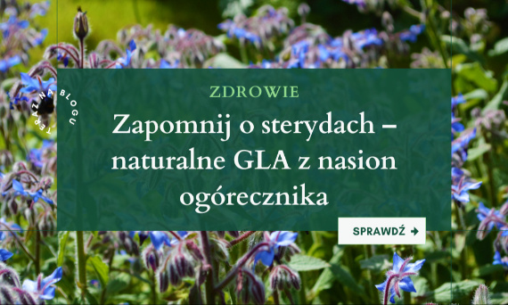 Ogórecznik lekarski - czym jest, właściwości zdrowotne i stosowanie.