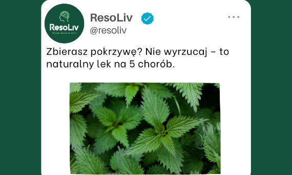 Ta roślina poprawia twoje krążenie, nerki, włosy i odporność – za darmo!