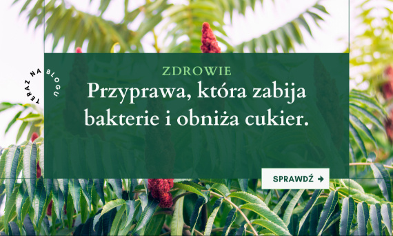 Sumak (Rhus coriaria) – nieoczywista przyprawa o potężnych właściwościach zdrowotnych