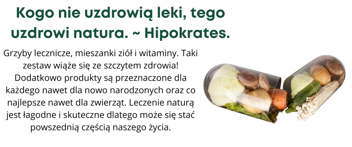 Kopia-Kopia-Kopia-Kopia-test-test-test.jpg